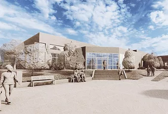 Crisis relief center web