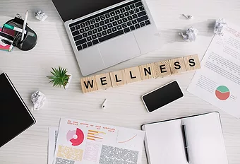 Wellnessdesk web
