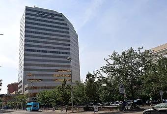 Bofa (12) web