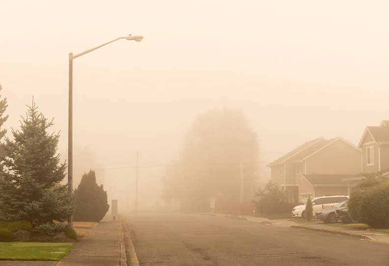 SmokeyStreet_web.jpg