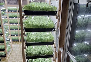 Phillip Moore, Courage To Grow Farms