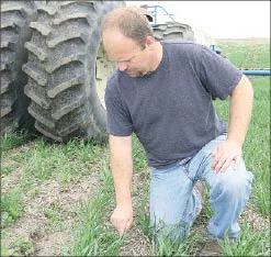 Staff photo by Treva Lind