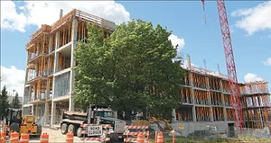 Staff photo by Mike McLean