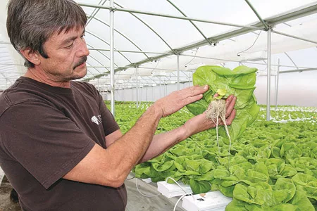 —Staff photo by Treva Lind