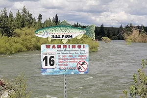 - Staff photo by Chey Scott