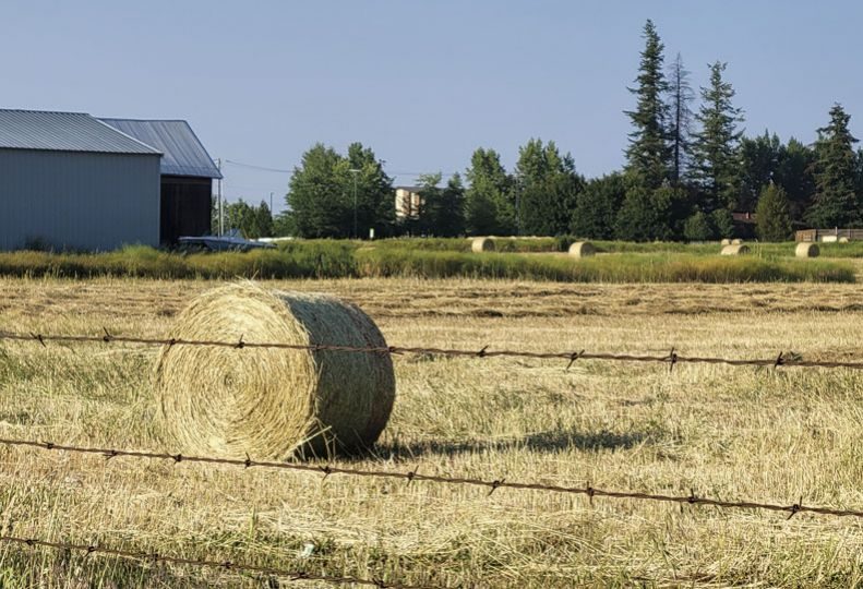 Ag land values increase in Spokane area Spokane Journal of Business