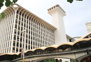 â€”Natasha Nellis